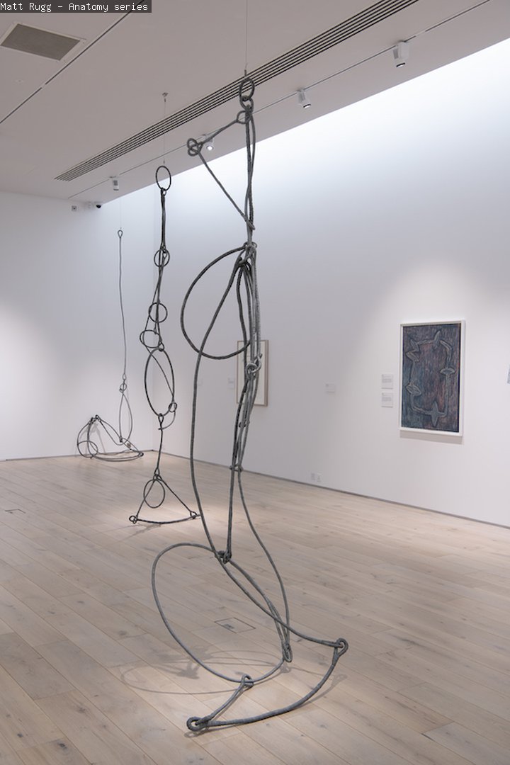 Rugg’s captivating hanging wire sculptures called the Anatomy series.