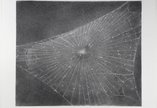 Web #1 is a large charcoal drawing on paper of a spider’s web