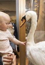 A woman and baby look at a swan