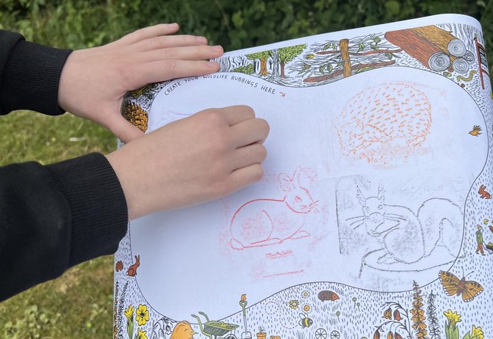 Close up of hands drawing on paper. There are drawings of a rabbit and squirrel.