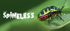 Spineless logo and green beetle