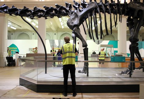 Team member in illuminous vest admires large dinosaur