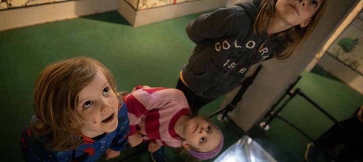 3 siblings of different ages look up in gallery