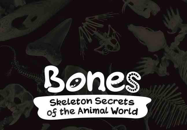 Bones exhibition logo 