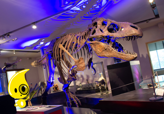 T.rex and Podi mascot  - Illustration of a yellow character with magnifying glass