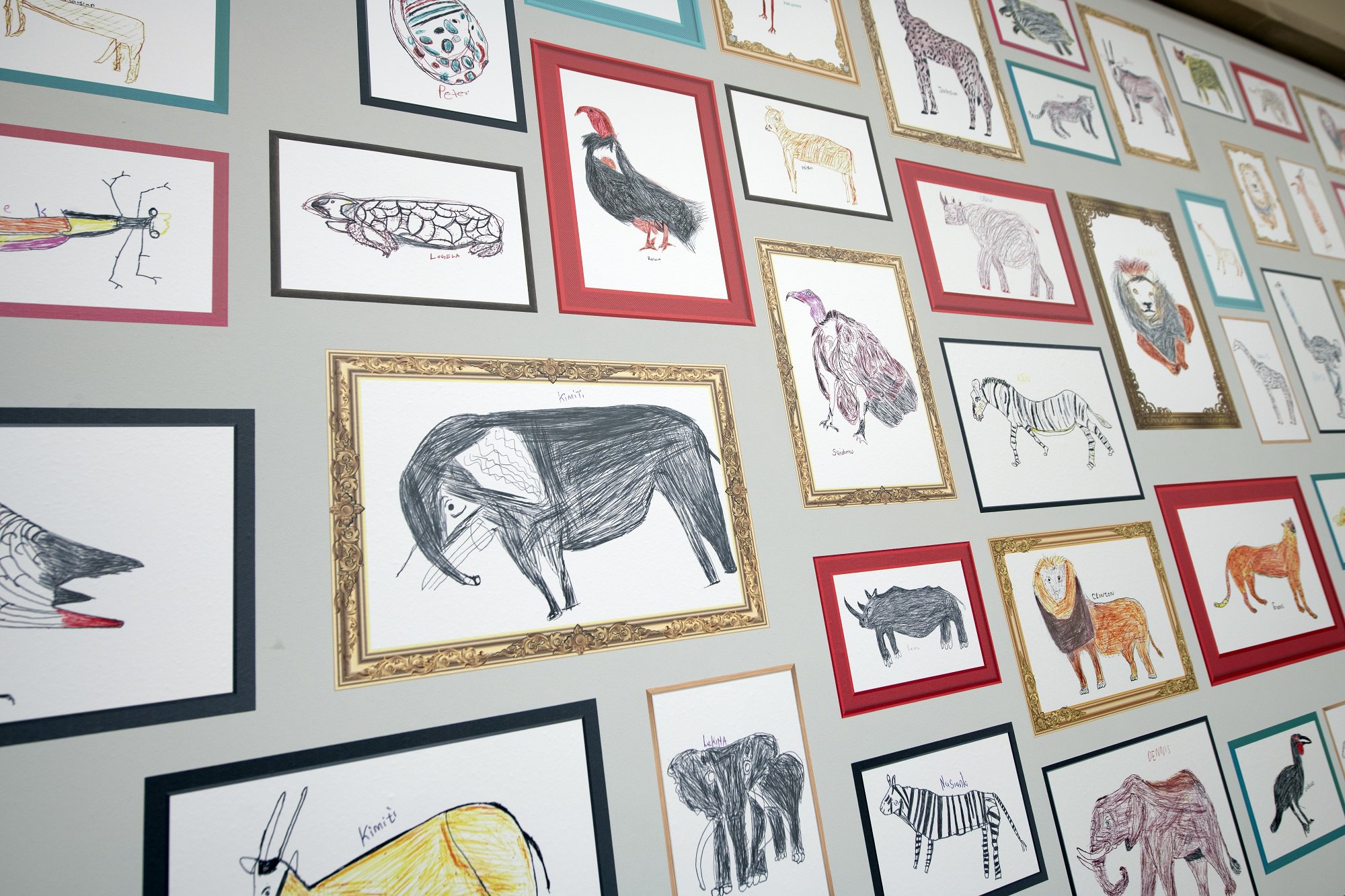 Children's biro drawings of endangered animals on display in a museum exhibition.