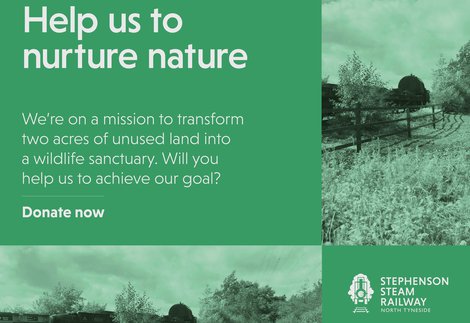 Woodland Walk Campaign with green background asking for donation