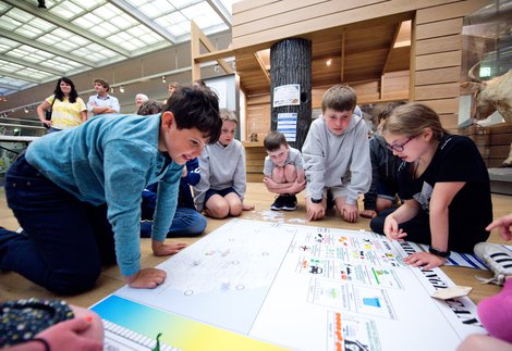 Time Travelling with Dippy