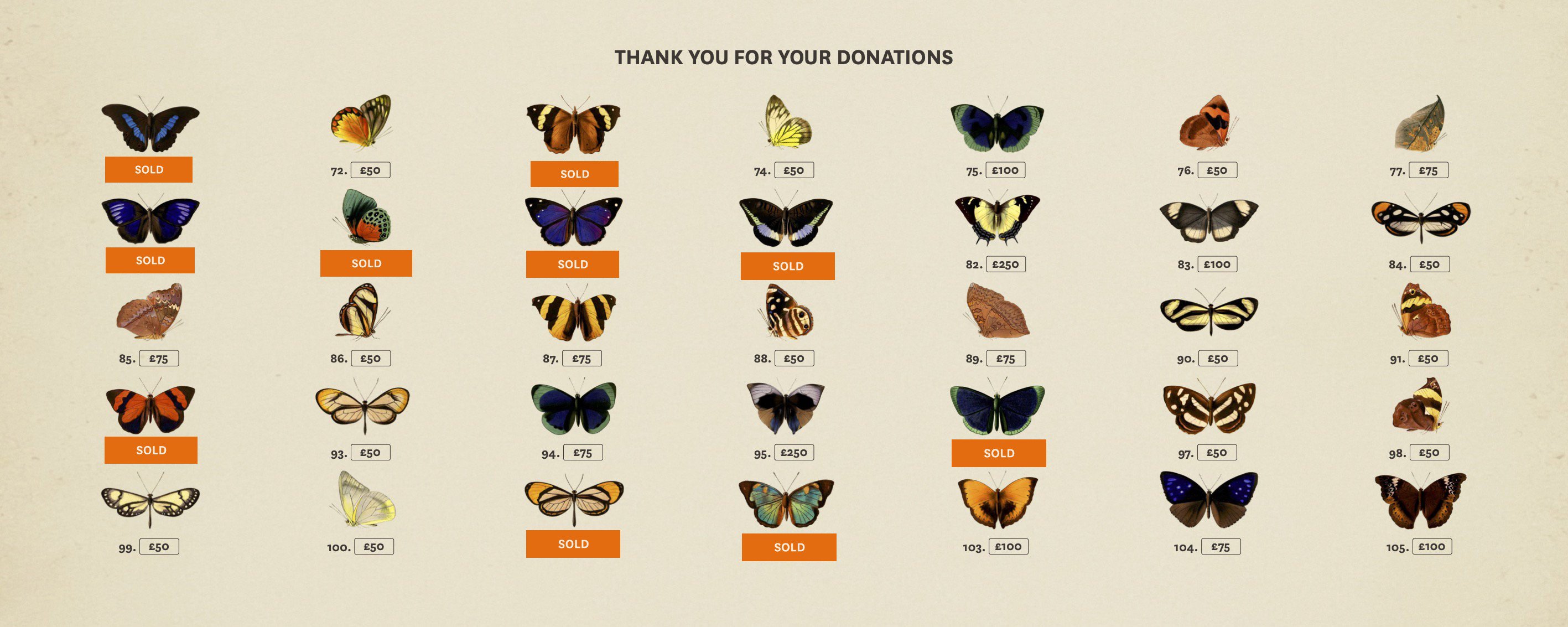 Illustrated butterflies Illustrated butterflies