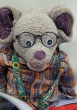 Toy Mouse Reading