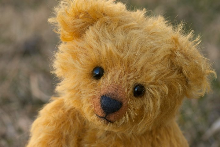 Child's teddy bear. Child's teddy bear.