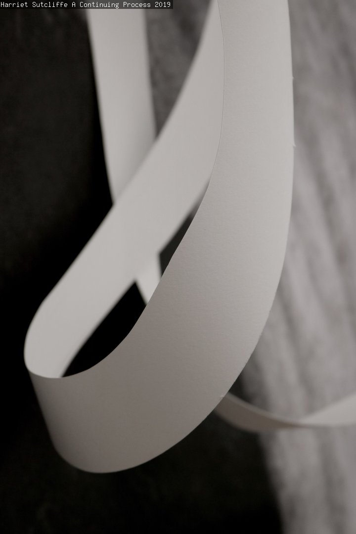 A close up image of artwork by Harriet Sutcliffe