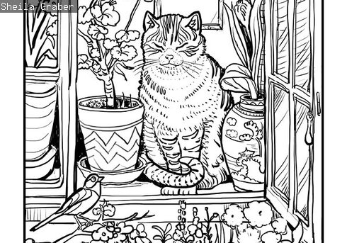 Colouring in sheet 