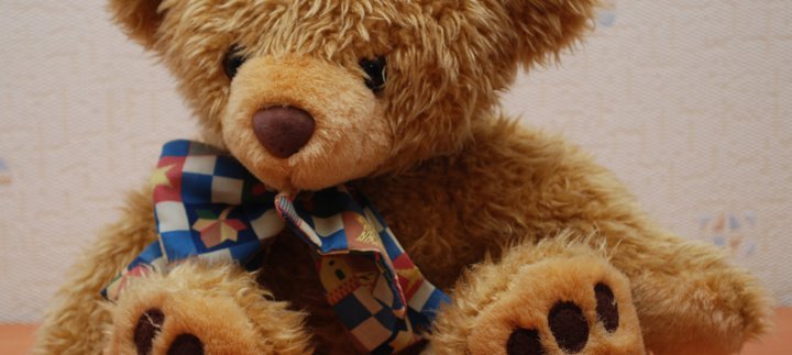 brown teddy bear with blue check bow