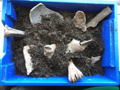 Replica artefacts in a box with some soil