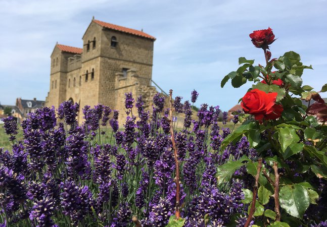 Lavender and roses in Roman garden 