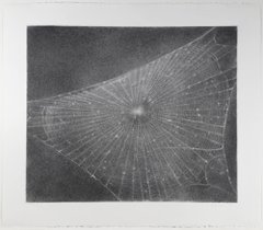 A drawing of a spider web