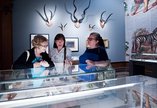 Civic Museums