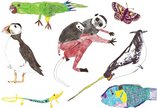 Collage of children's drawings of various wild animals