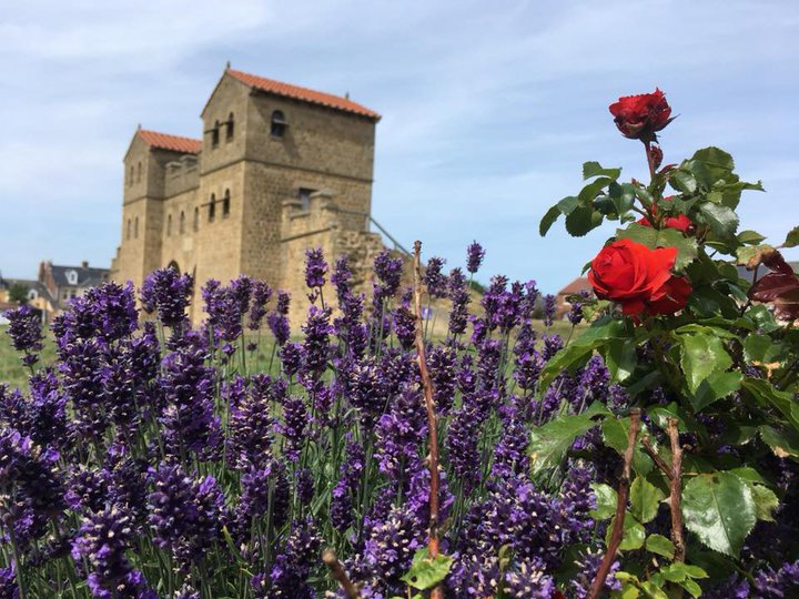 Lavender and roses in front of Arbeia's Roamn West Gate