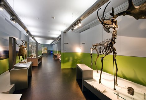 North Museum Christmas Hours 2022 Planning Your Visit | Great North Museum: Hancock