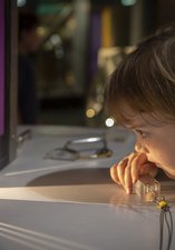 Girl holds a prism in a light 