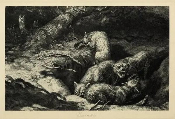 Illustration from ‘On Safari’ titled Executors. It depicts Hyenas digging up the body of one of Chapman’s employees, a porter named Ibrahim. In the foreground, three Hyenas fight over his body. In the background, a fourth eats his hand.