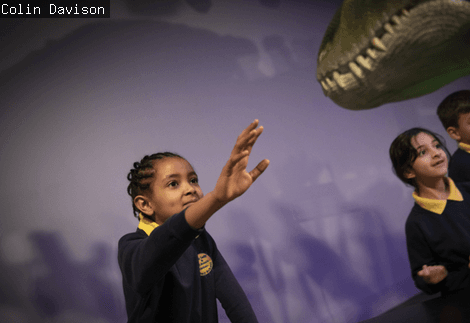 A child reaches out to touch a plastic dinosaur model