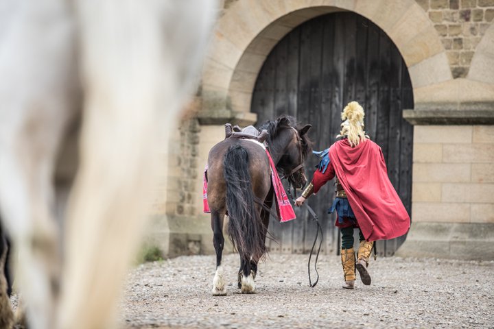 Roman soldier on horseback