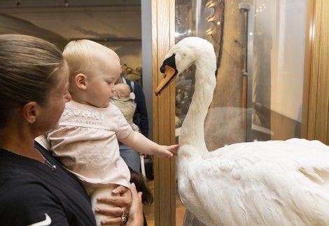 A woman and baby look at a swan
