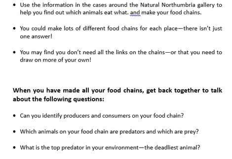 Food Chains Gallery Worksheets