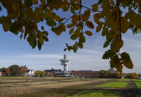 A large gravelled site with a a modern glass tower and buildings in the background and tree leaves in the foreground