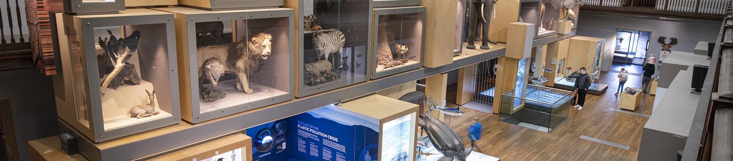 Living Planet gallery