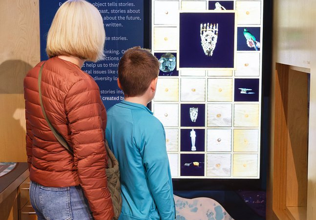 An adult and a child are looking at the interactive Story Inspiration Station in the Great North Museum Hancocks Living Planet Gallery