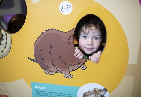 A child enjoying the Mouse House