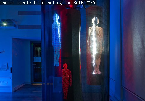 Andrew Carnie, Illuminating the Self, 2020
