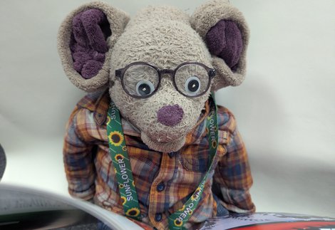 Toy Mouse Reading