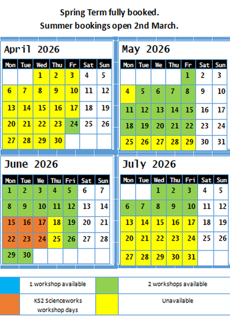 Summer term workshops