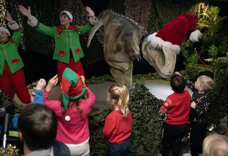 Festive dino show - kids, elves and a t-rex costumed peformer