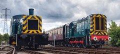 Diesel Gala