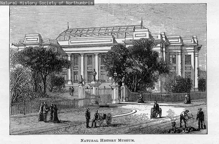 a drawing of the Hancock Museum