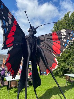Butterfly on Stilts