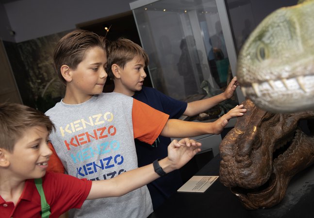 Children in the Museum