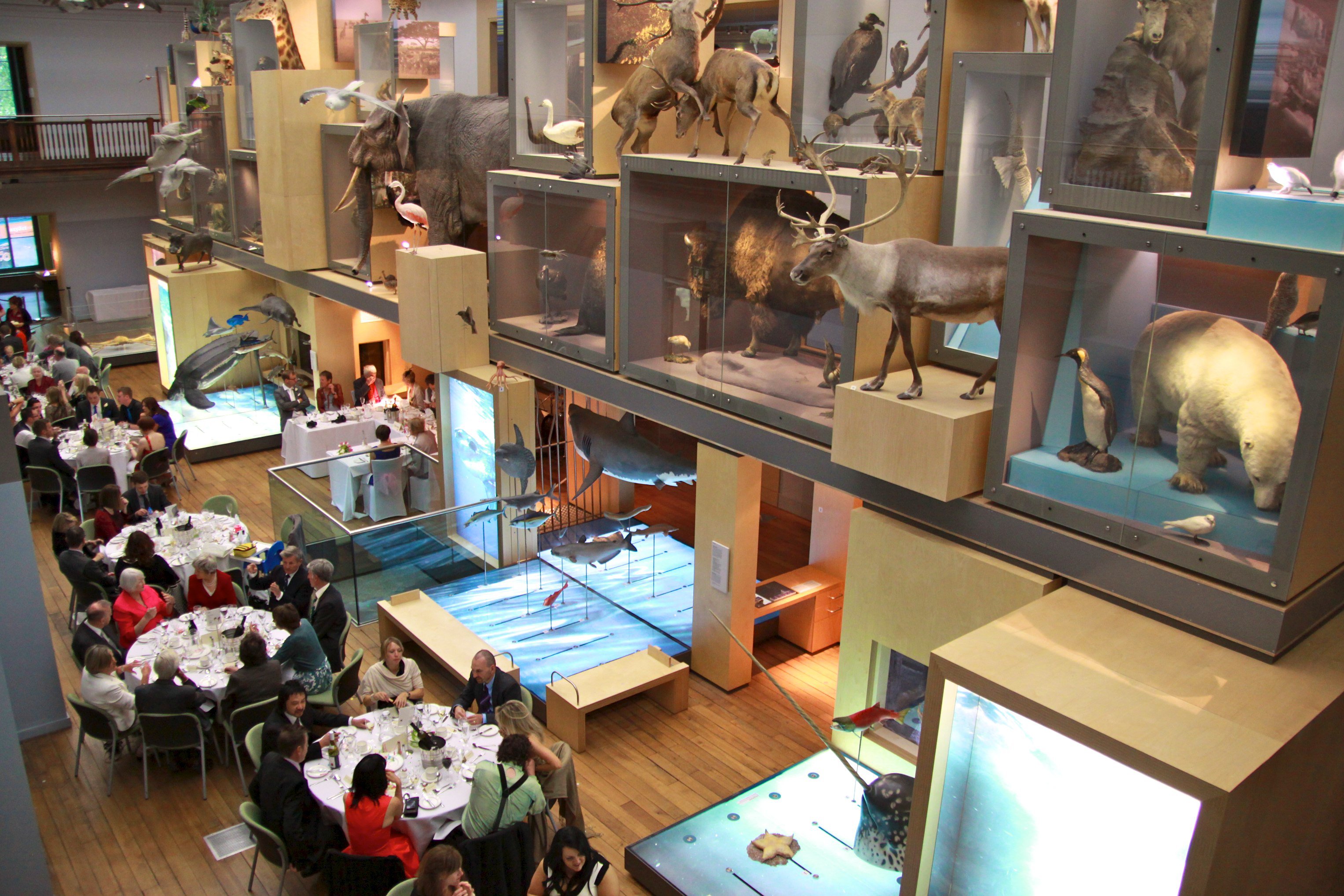 Photo: The Living Planet Gallery set up for an event