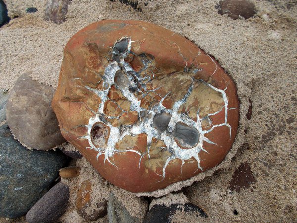Photo of Septarian nodule pebble