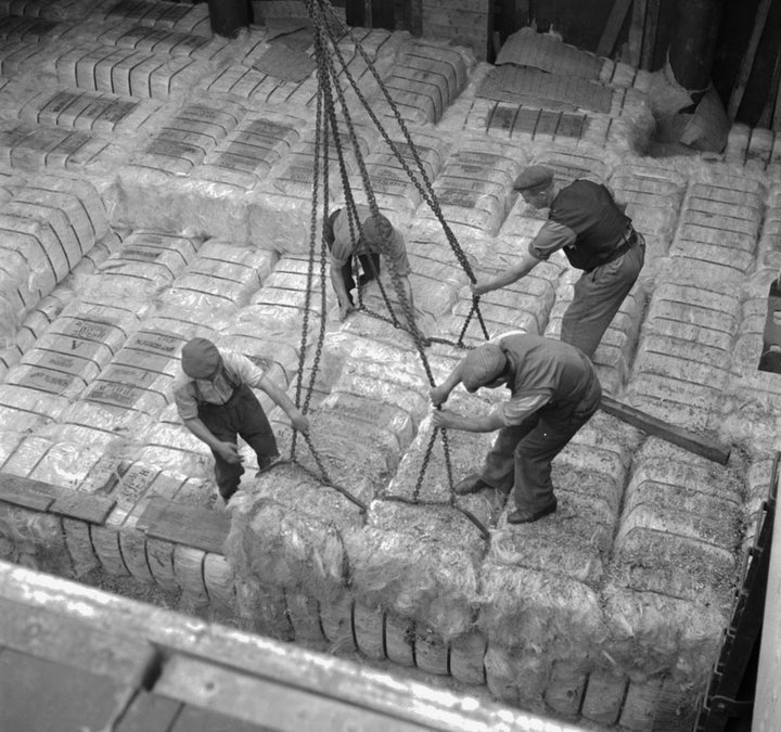 Dockers unloading sisal at the Corporation Quay, Sunderland