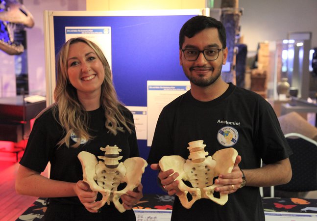 Two people holding pelvis bone models