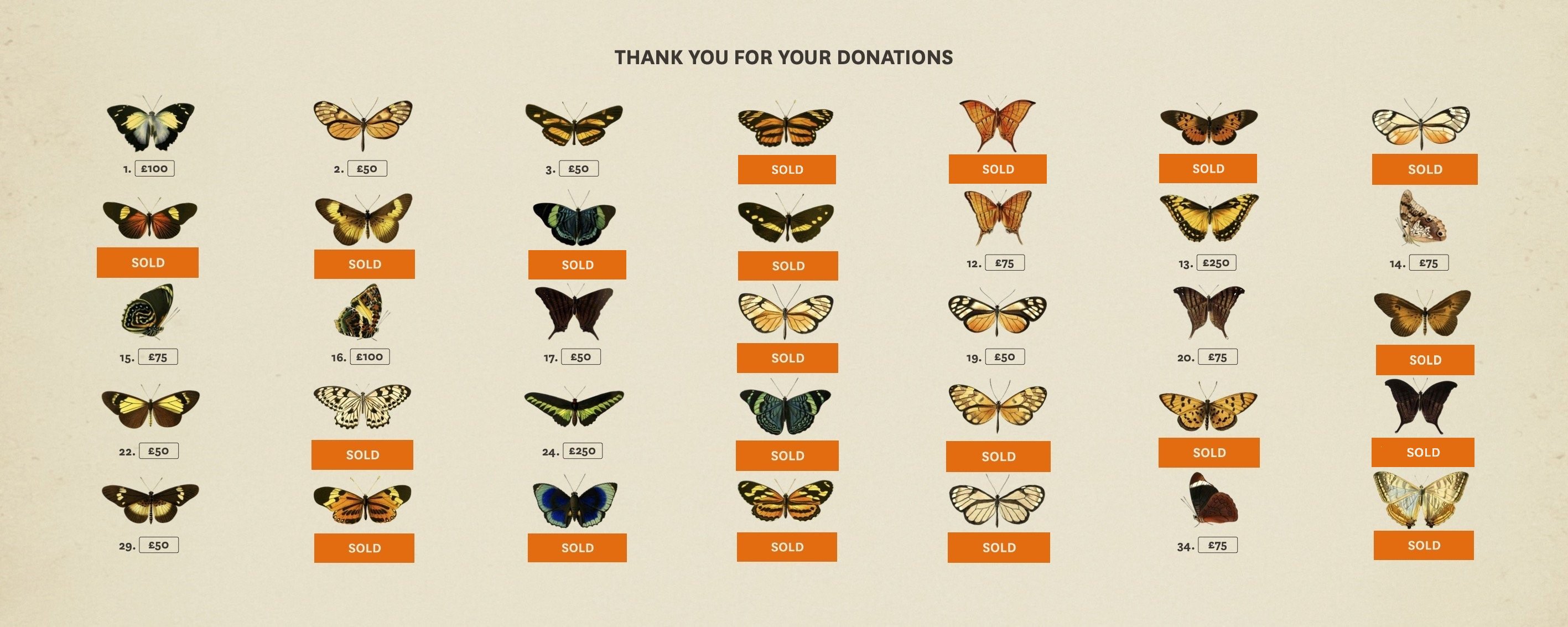 Butterfly Wall panel 1 - Illustrated butterflies