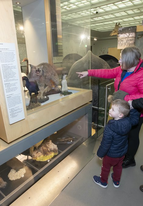 A family in the living planet gallery 