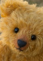 Teddy Bear Picnic Train Rides